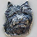 Norwich Terrier Slider